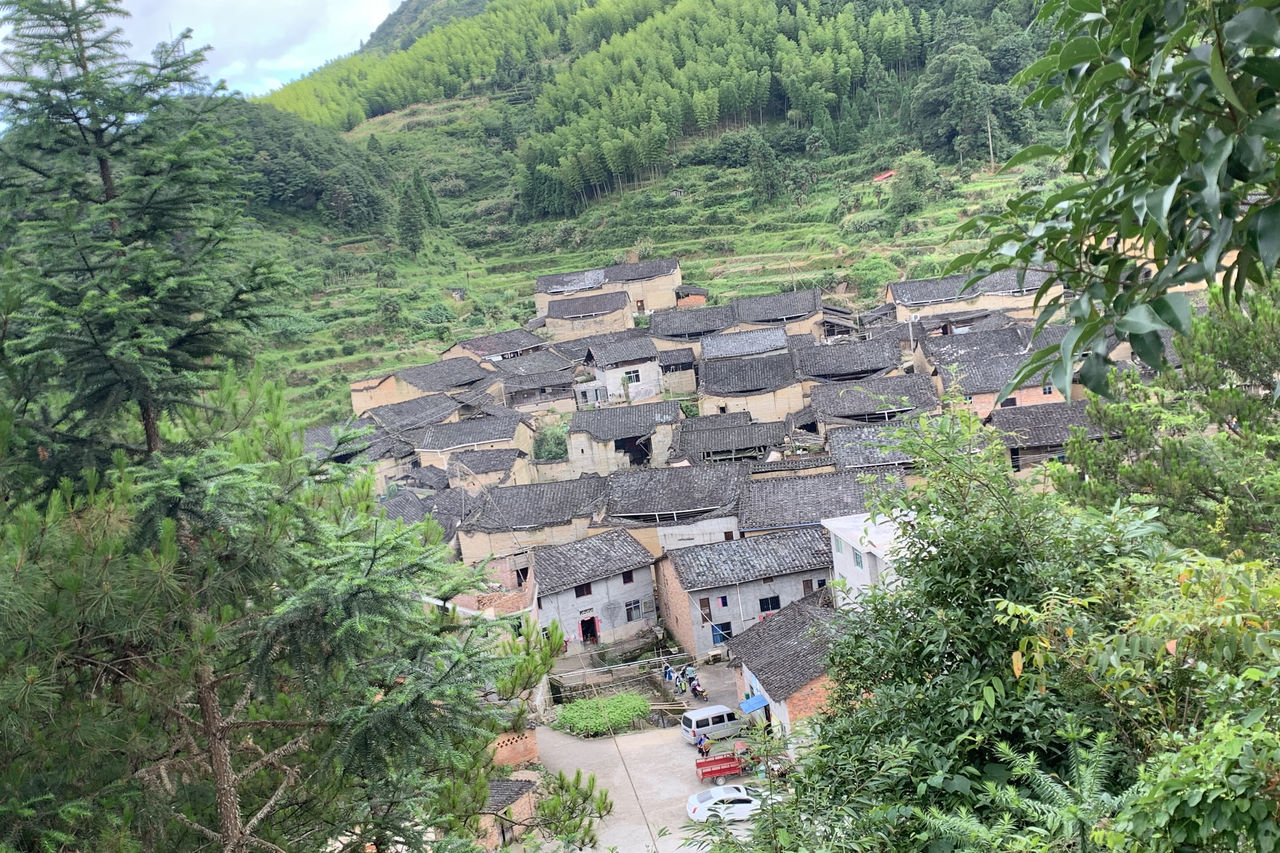 里洋村(福建省南平市政和縣鎮前鎮裡洋村)