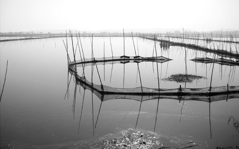 養魚的圍網將鴨兒湖的子湖切割成很多小塊