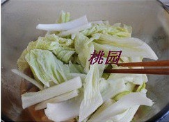 白菜凍豆腐燉羊肉