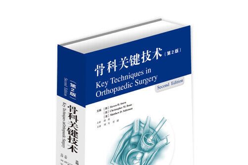 骨科關鍵技術(2019年山東科學技術出版社出版的圖書)