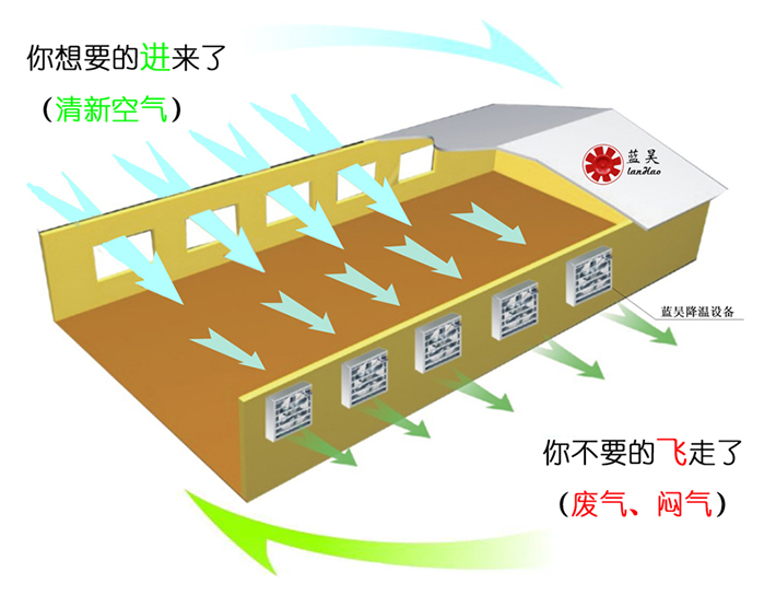 負壓風機工作原理