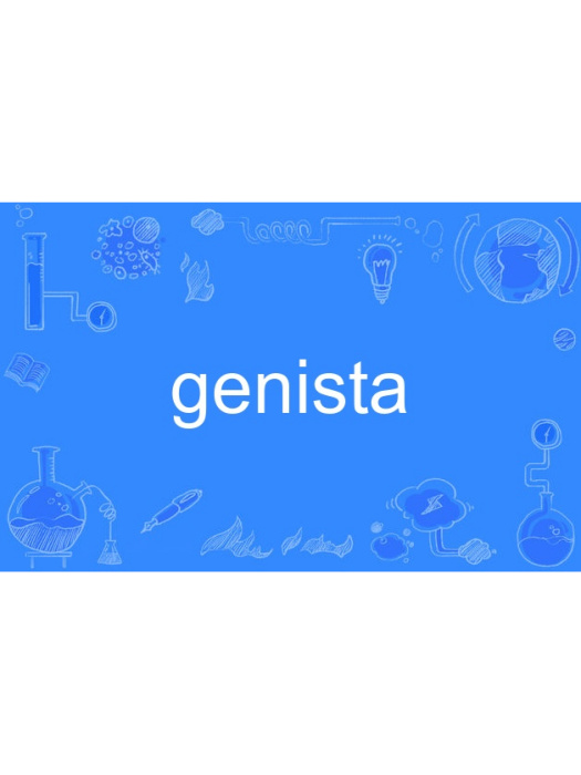 genista