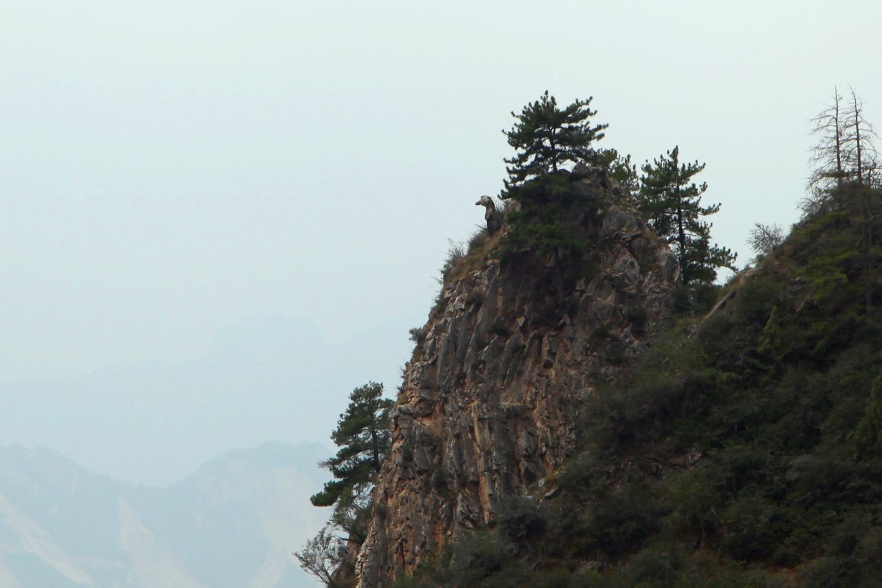 石屏山尕達寺