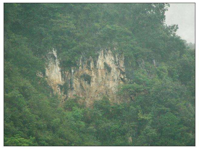 大龍鼻自然村