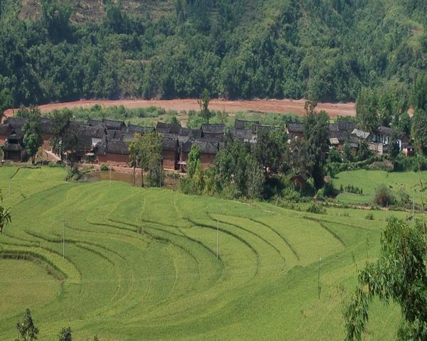 益智鄉中和村