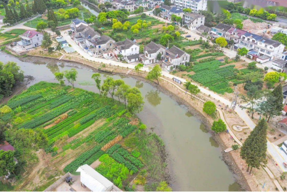 常熟市濱江省級森林公園