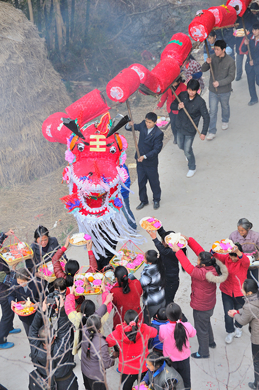 安仁譚氏子孫龍