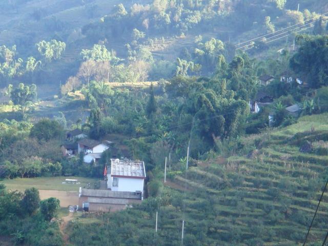 東照臨村