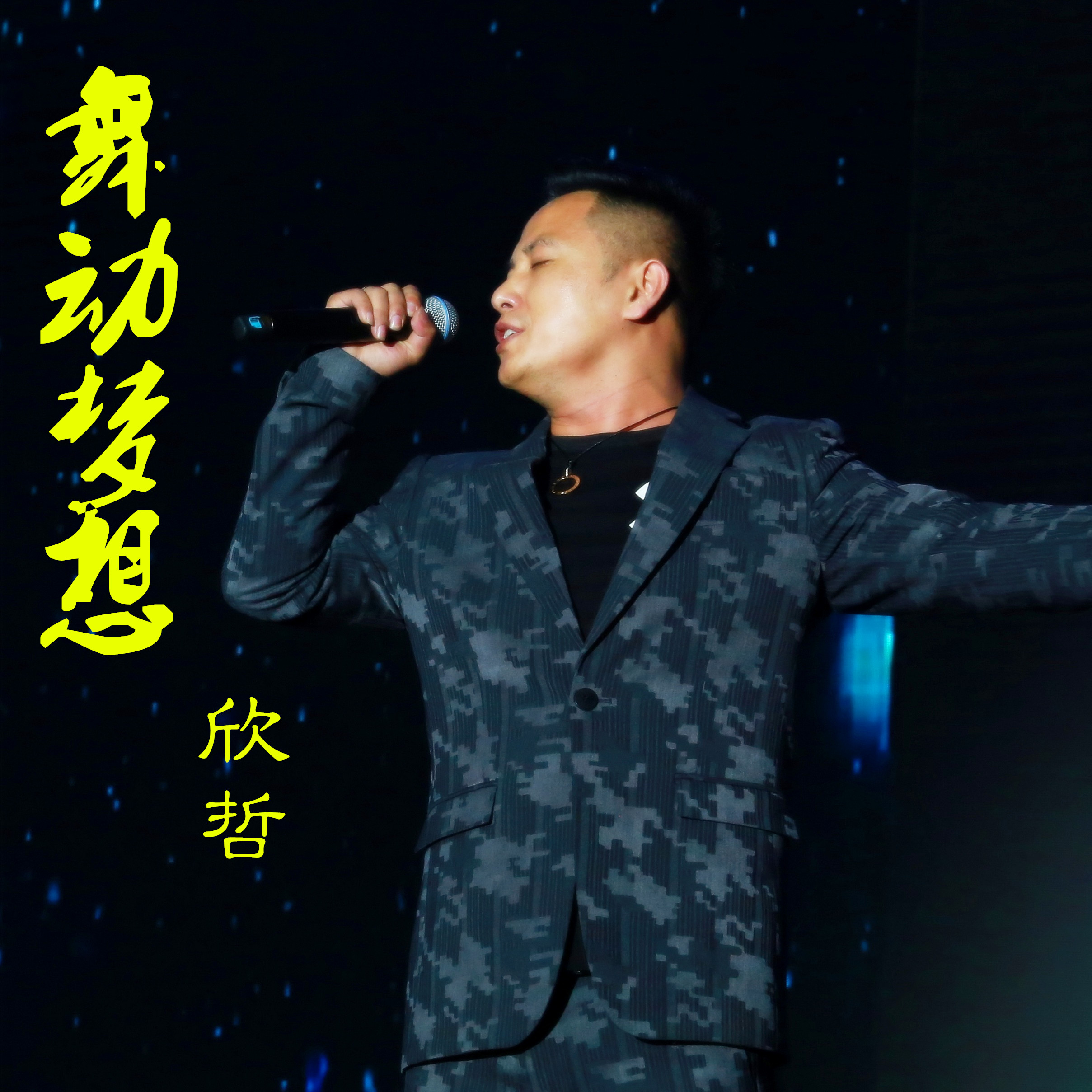 舞動夢想(欣哲演唱歌曲)