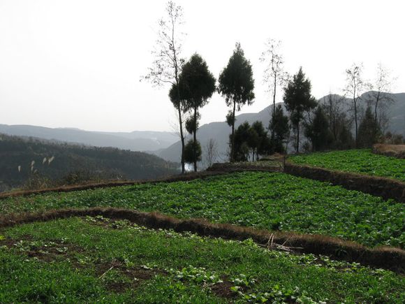 遠景村(湖南省永州市祁陽縣大忠橋鎮遠景村)