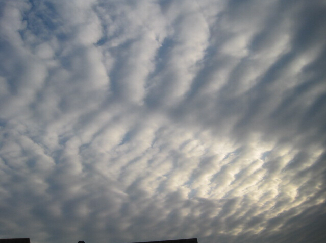 層積雲