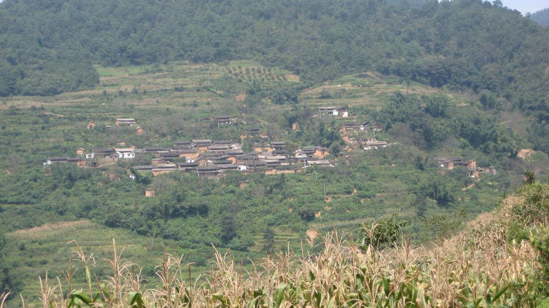 石頭村(雲南省雙柏縣鄂嘉鎮下轄村)