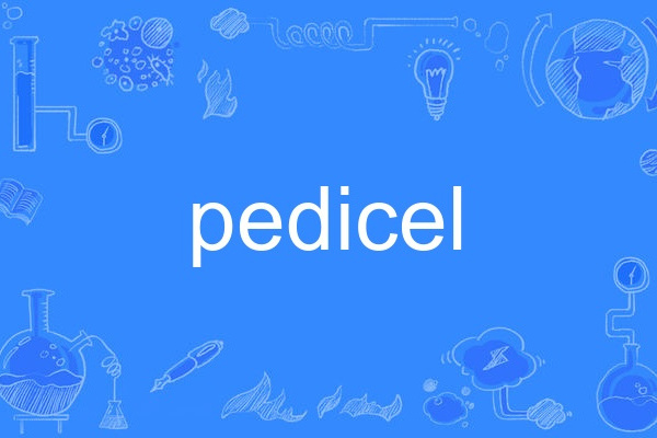 pedicel