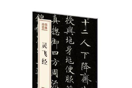 靈飛經(2020年文化藝術出版社出版的圖書)