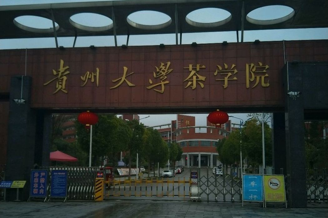 貴州大學茶學院