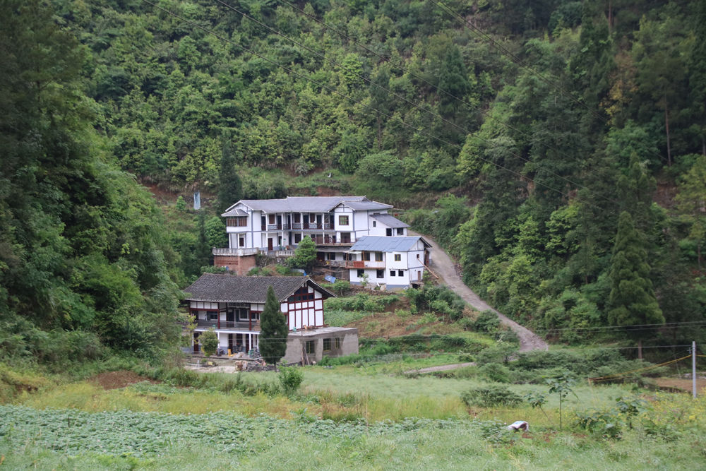 田壩村(雲南省普洱鎮沅縣田壩鄉田壩村村民委員會)