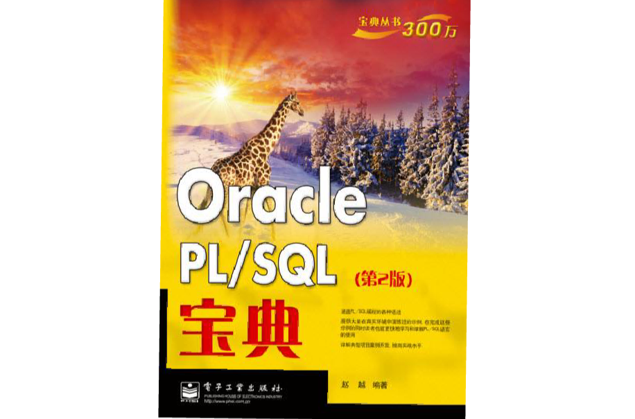 Oracle PL/SQL寶典（第2版）