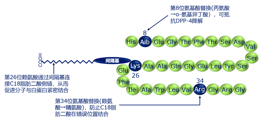 諾和泰司美格魯肽注射液