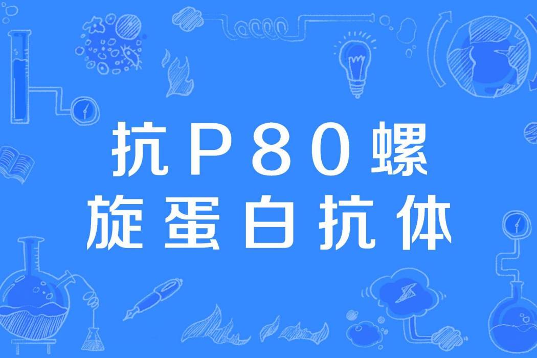 抗P80螺旋蛋白抗體