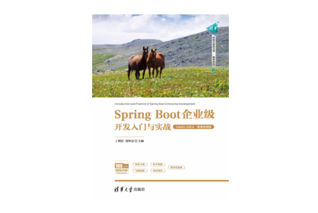 Spring Boot企業級開發入門與實戰（IntelliJ IDEA·微課視頻版）