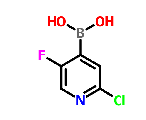 2-氯-5-氟吡啶-4-硼酸