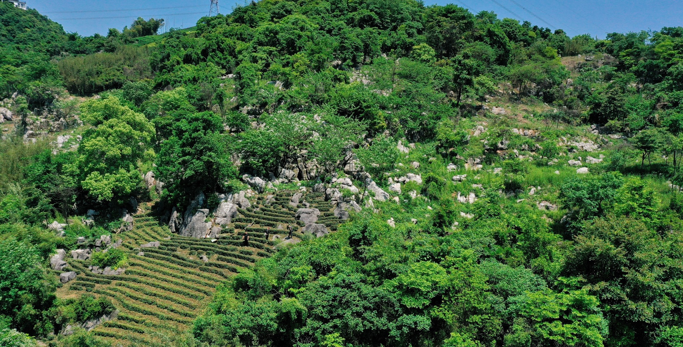 西岩山