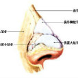 咽梅毒