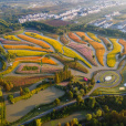 花開海上生態園