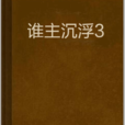 誰主沉浮3(誰主沉浮 3：官場傳奇從副鄉長到省級高官)