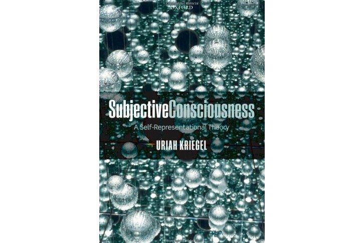 Subjective Consciousness