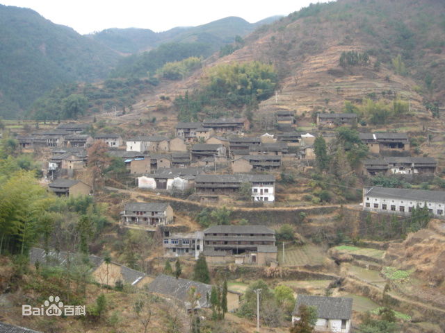 鄭坑村(浙江省縉雲縣大源鎮鄭坑村)