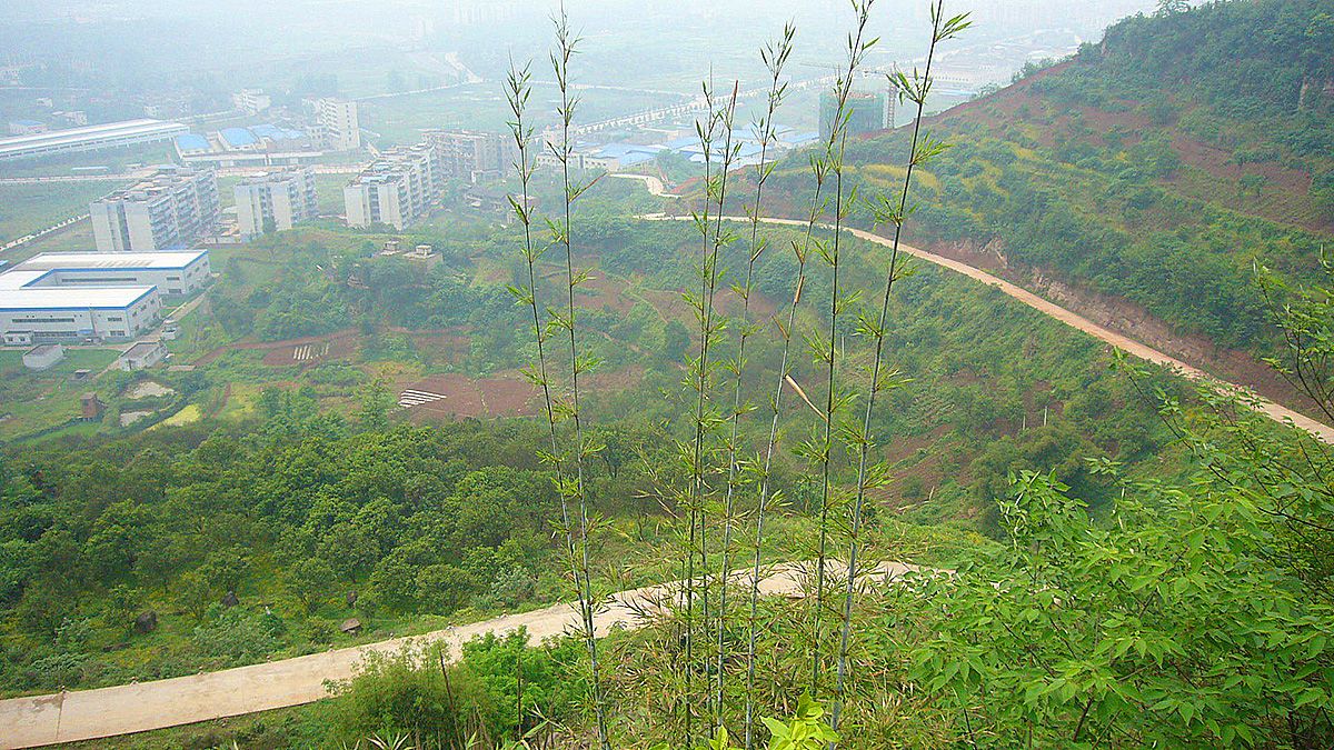 白塔坪上山公路