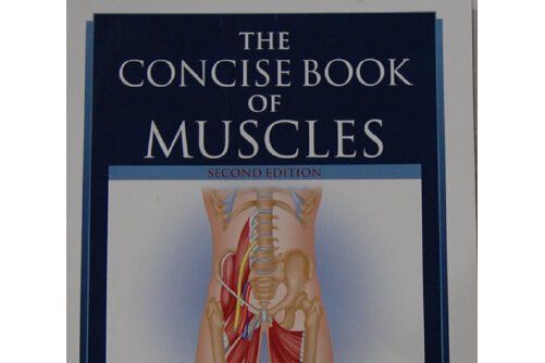 concise book muscles, the