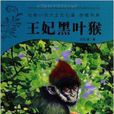 動物小說大王沈石溪品藏書系：王妃黑葉猴