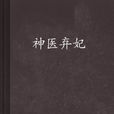 神醫棄妃(3G書城小說)