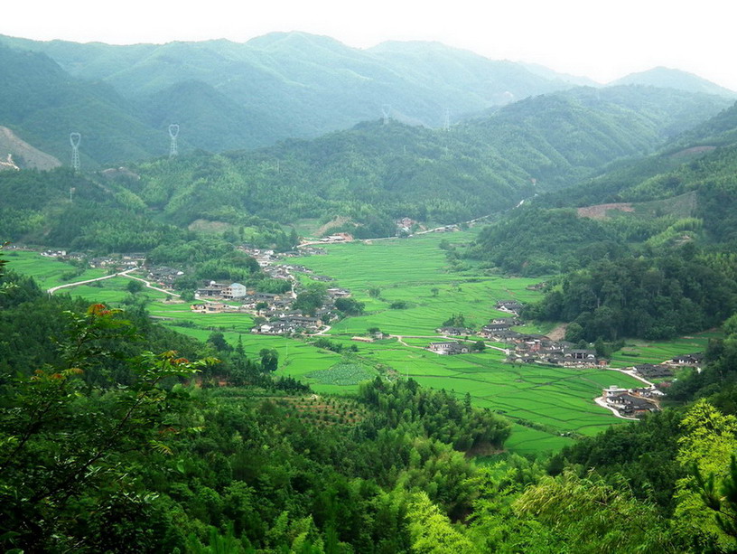 石峰村(福建省永安市小陶鎮下轄村)