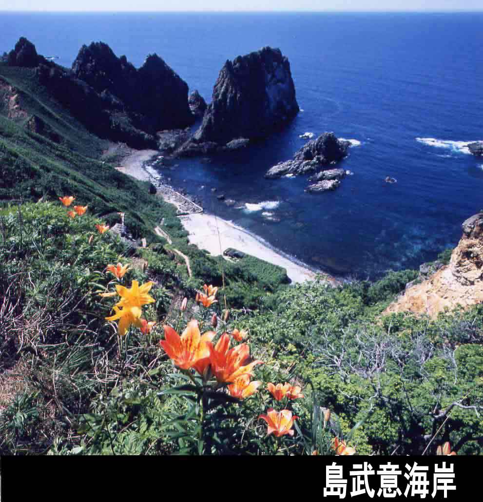 島武意海岸