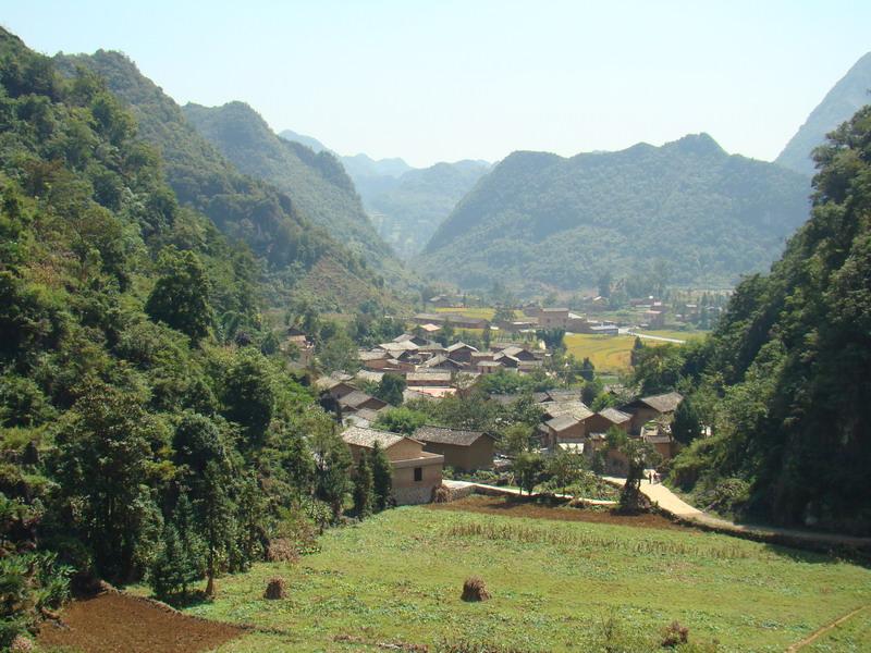 街上自然村(雲南昭通鎮雄縣鹽源鄉木歪村委會街上自然村)