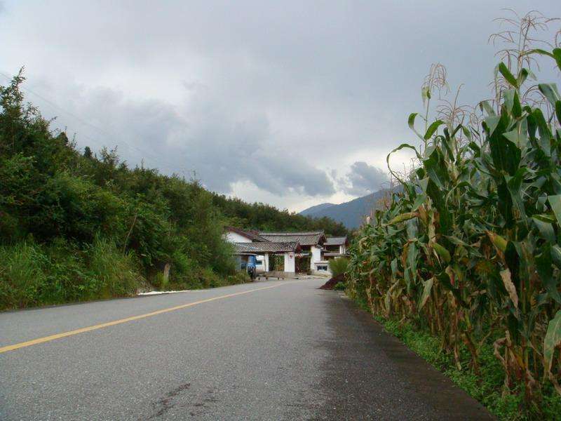 熱水村(雲南省紅河屏邊苗族自治縣白河鄉熱水村)