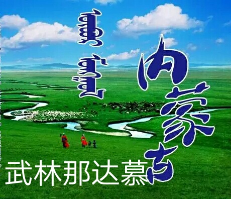 武林那達慕