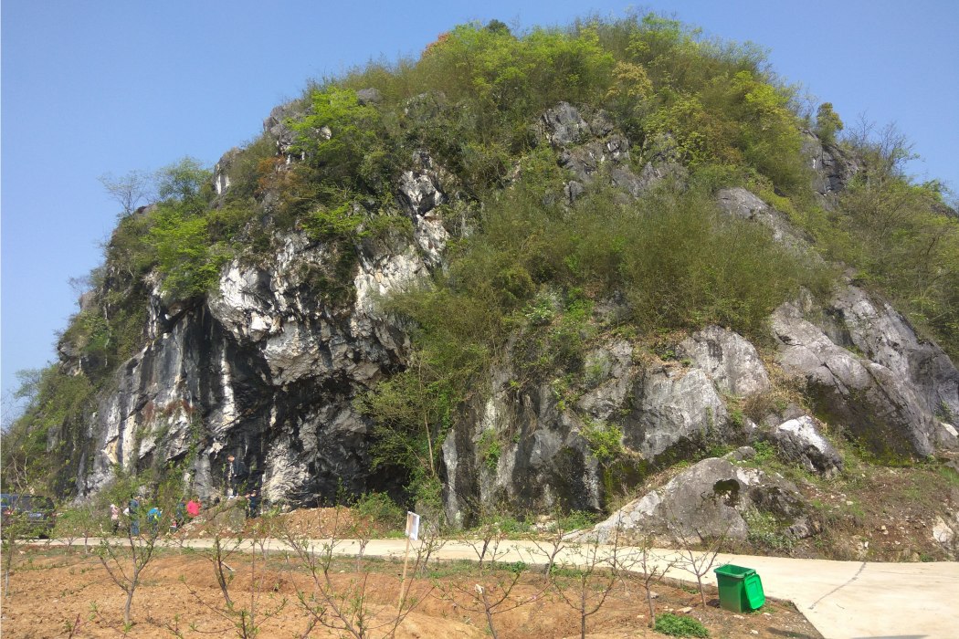 孤山岩(新邵縣陳家坊鎮劉什壩村的一座石山)