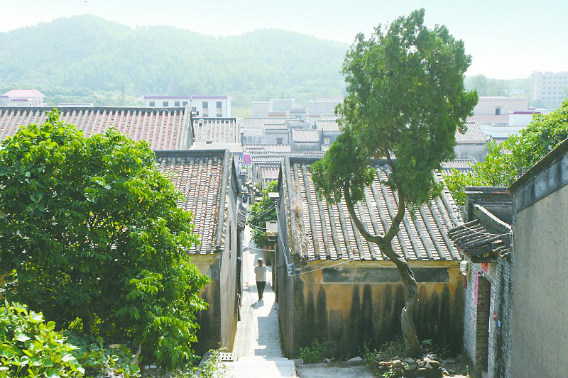 網山村(廣東省珠海市斗門區乾務鎮下轄的村)