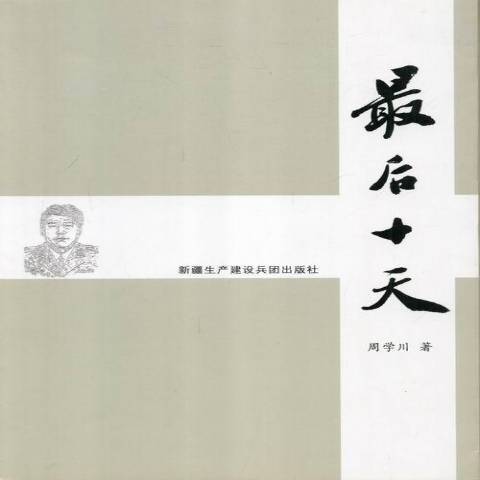 最後十天(2012年新疆生產建設兵團出版社出版的圖書)