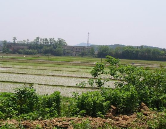 酒塘村