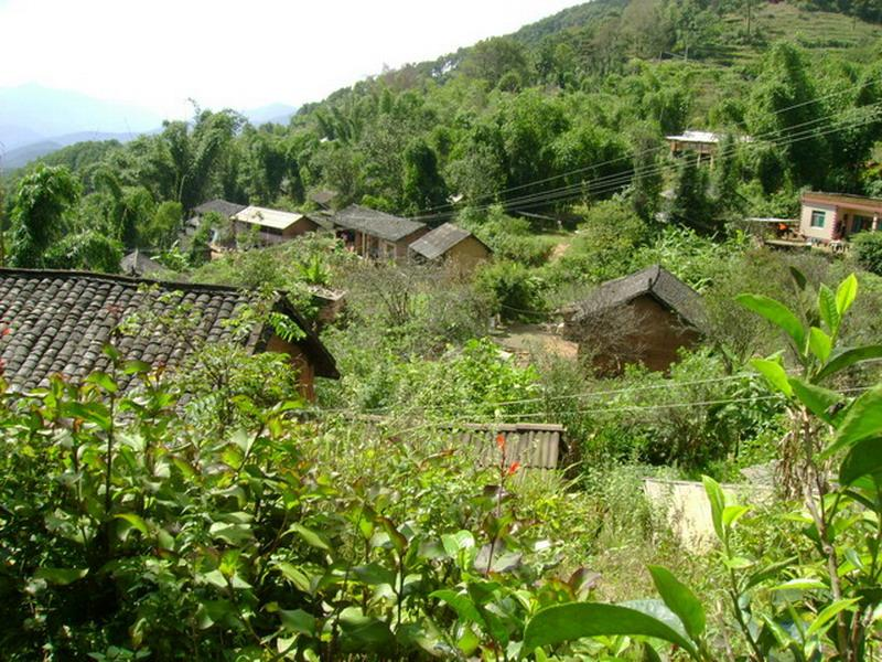 老街自然村(雨河鎮雨河村委會下轄自然村)