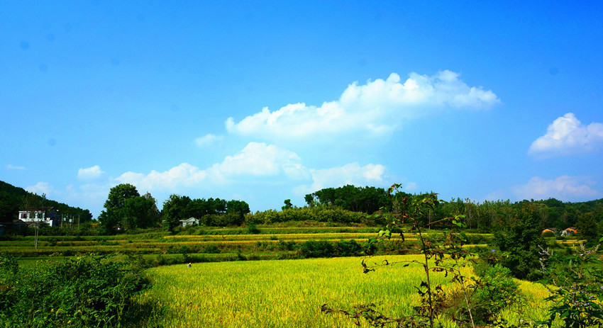 吊橋村風景