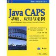 JavaCAPS基礎、套用與案例