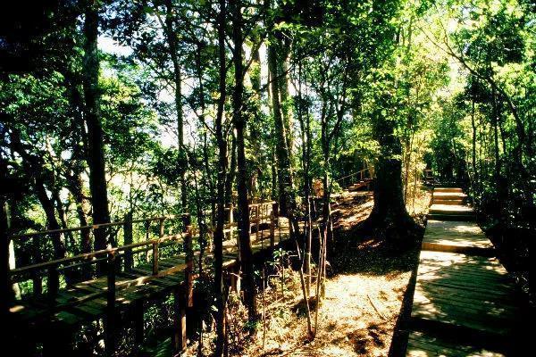 霸王嶺森林康養基地