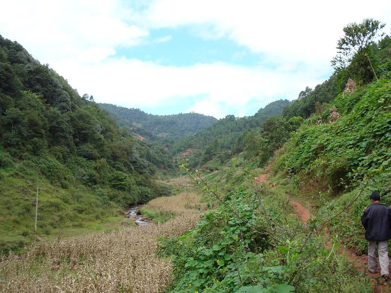 新合村(雲南省祿勸彝族苗族自治縣雲龍鄉新合村)