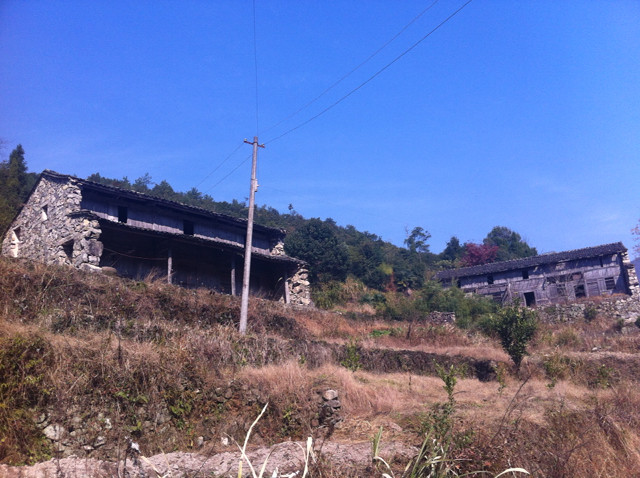 桐坑村(江西省定南縣龍塘鎮桐坑村)